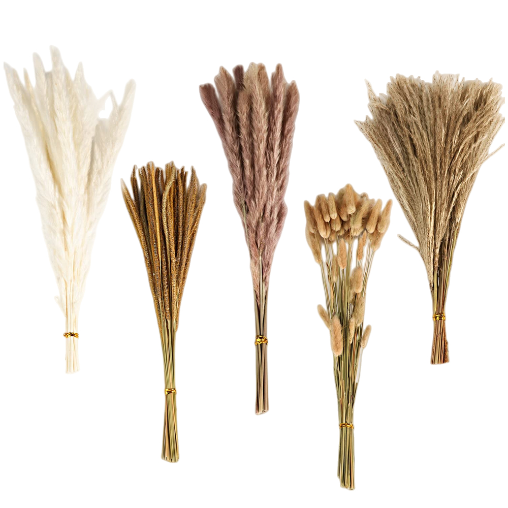 Sonbahar Vintage Karışık Kurut - Pampas Grass Decor incelemesi ve fiyatı