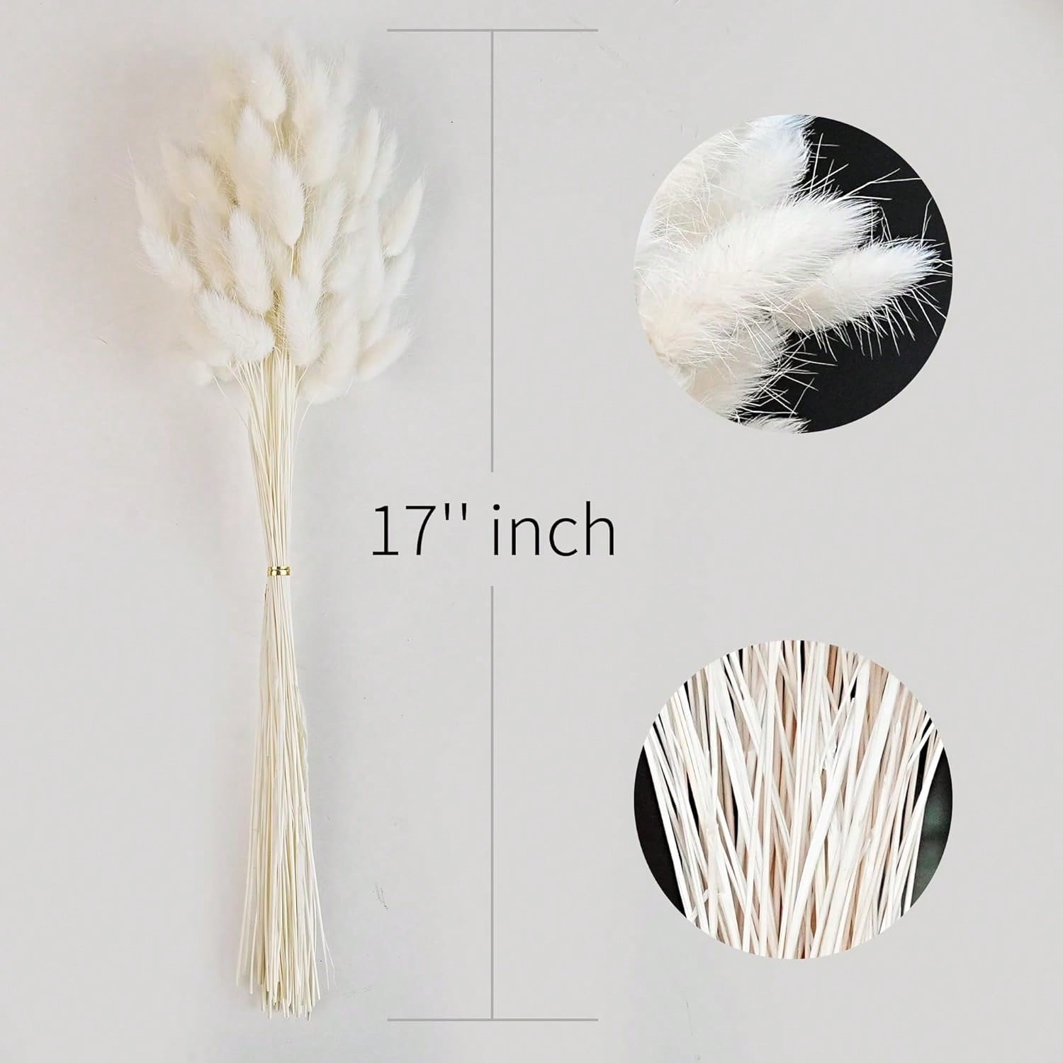 120 adet kurutulmuş Pampas çim - Pampas Grass Decor incelemesi ve fiyatı