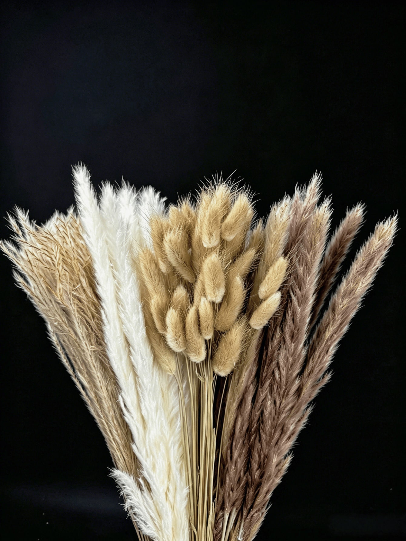 10/20/30 adet Beyaz Yapay Pamp - Pampas Grass Decor incelemesi ve fiyatı