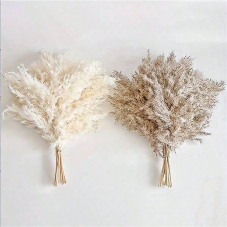 10/20/30 adet Beyaz Yapay Pamp - Pampas Grass Decor incelemesi ve fiyatı